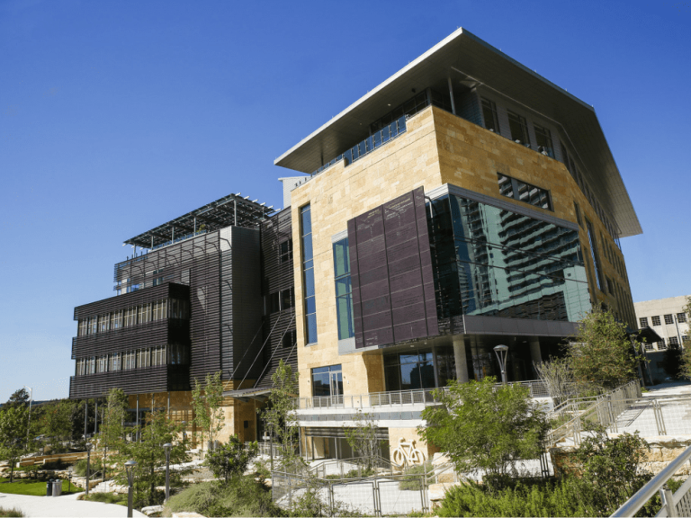 Texas public libraries generate billions in economic impact, study says